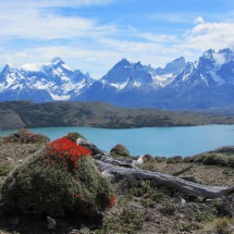 Laguna Verde with Torres del Paine